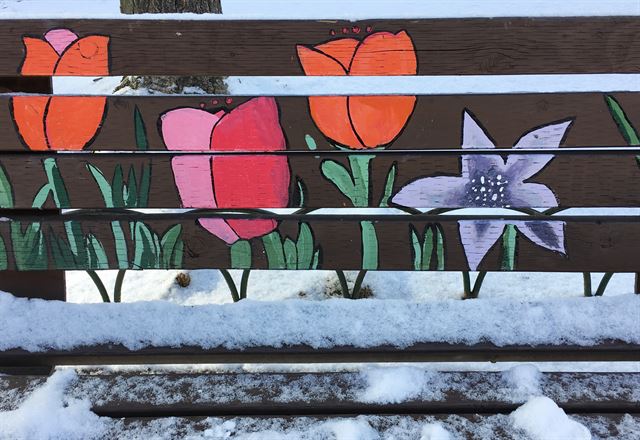 경기 고양시의 한 고교 봉사동아리 회원들이 공원 벤치에 그려 놓은 꽃 그림이 예쁘다.
