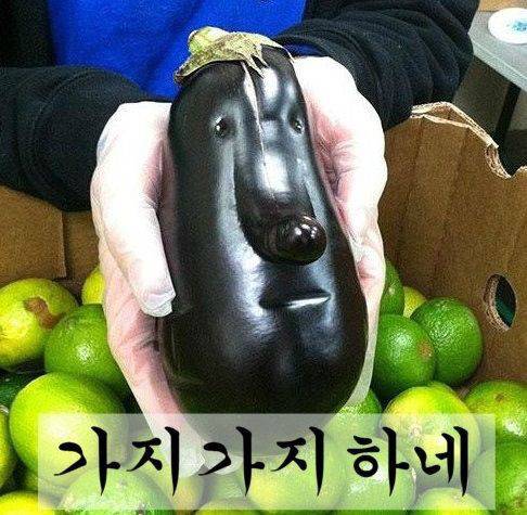 난 그냥 이오스를 사고 싶었을뿐… /사진=인터넷 커뮤니티