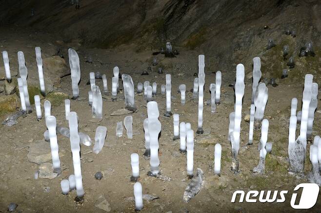 제천시  덕산면  보덕굴 내부에  거꾸로  된  고드름이  피어있다.(사진제공= 제천시)  © News1