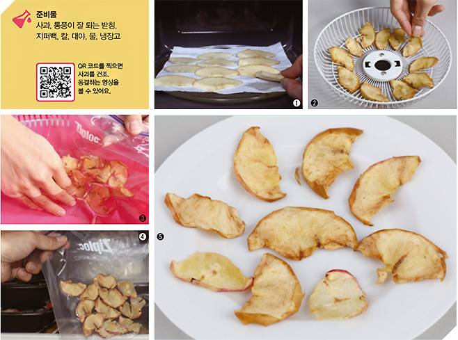 어린이 과학동아 4호 제공