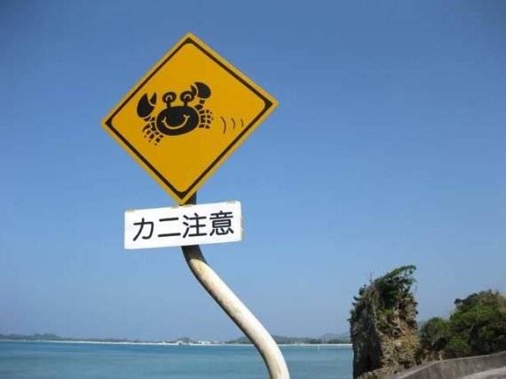 일본 오키나와에 설치된 '게 주의 표지판'