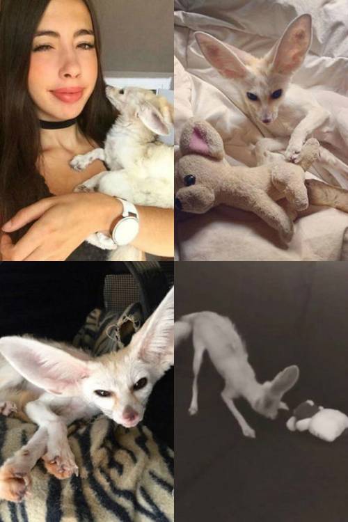 <사진=소니아 SNS>