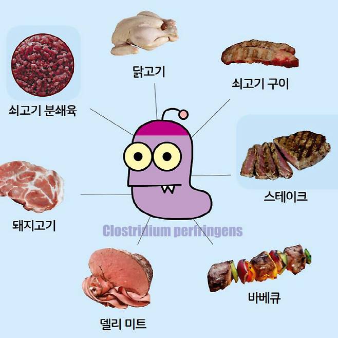 클로스트리디움 퍼프린젠스 세균은 쇠고기 분쇄육과 닭고기, 스테이크 등 육류 식품을 통해 식중독을 일으키는 경우가 많다. 식약처 제공.