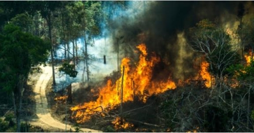 불타는 아마존 아마존 열대우림 파괴는 불법벌목과 광산 개발이 주요인으로 꼽힌다. [브라질 뉴스포털 UOL]