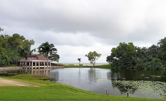 3번 홀 그린 주변.