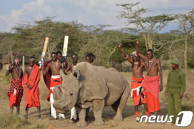 지난해 6월 촬영된 북부흰코뿔소 '수단'(가운데)의 모습. © AFP=뉴스1