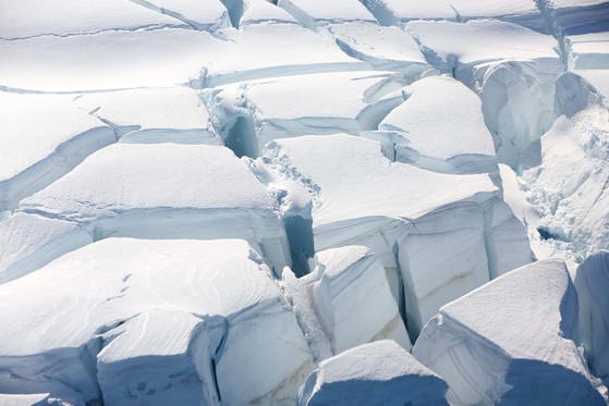 기후 변화로 빙하가 녹아 곳곳이 갈라져 있다. 이로인해 펭귄들의 이동이 갈수록 어려워 지고있다.[로이터=연합뉴스]