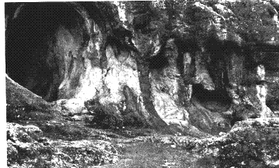 1856년 네안데르탈인이 처음 발견된 독일 뒤셀도르프 인근의 네안더 계곡.