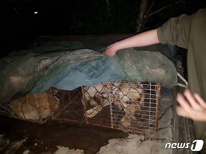 개장수 철장 안에 갇혀있던 주인있는 개 두마리. (사진 윤동선씨 제공)© News1