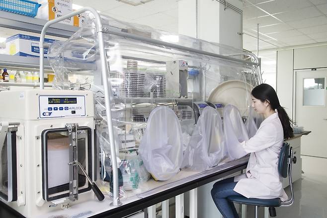 한국생명공학연구원 생물자원센터 연구실에서 한 연구원이 무균 진공체임버에서 대변 속 장내 미생물을 분리 배양하는 작업을 하고 있다. 한국생명공학연구원 제공