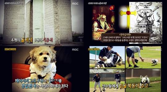 악마의 탑 조지아 가이드 스톤 행크 찰리와 초콜릿 공장