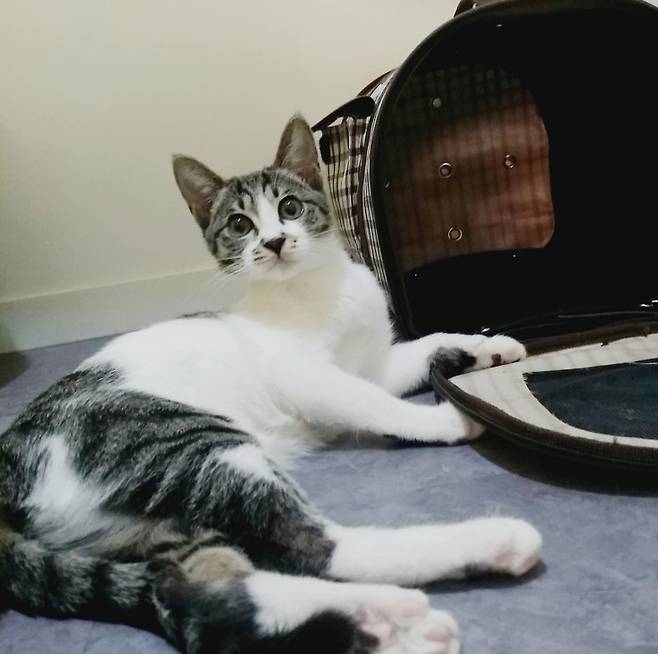 어느덧 어엿한 어른이 된 라인이 ⓒ함혜숙