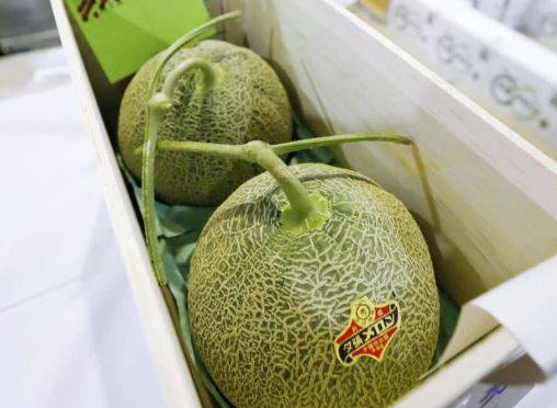 도교통신 보도 캡처