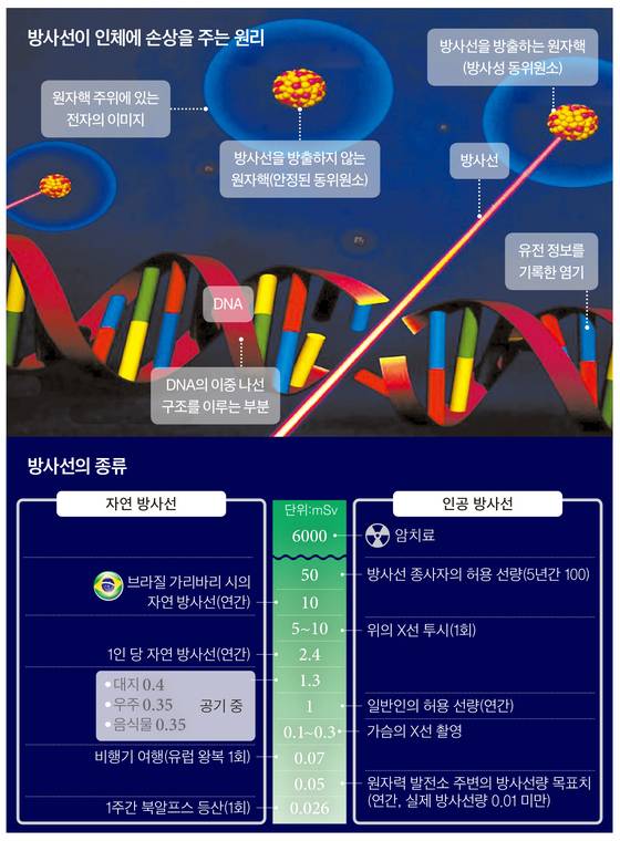 방사선이 인체에 손상을 주는 원리