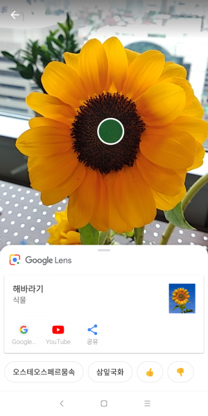 구글렌즈 스크린샷
