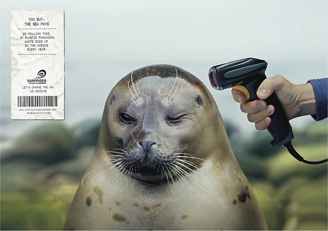 서프라이더 파운데이션 유럽 surfrider.eu 제공