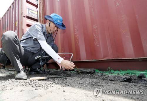 '붉은불개미를 차단하라' (인천=연합뉴스) 윤태현 기자 = 7일 오후 인천시 중구 인천컨테이너터미널에서 농림축산검역본부 관계자가 불개미 포집 작업을 하고 있다. 농림축산검역본부에 따르면 전날 이곳에서는 야적장 바닥 틈새에서 붉은불개미 일개미 70여 마리가 발견됐다. 2018.7.7 tomatoyoon@yna.co.kr