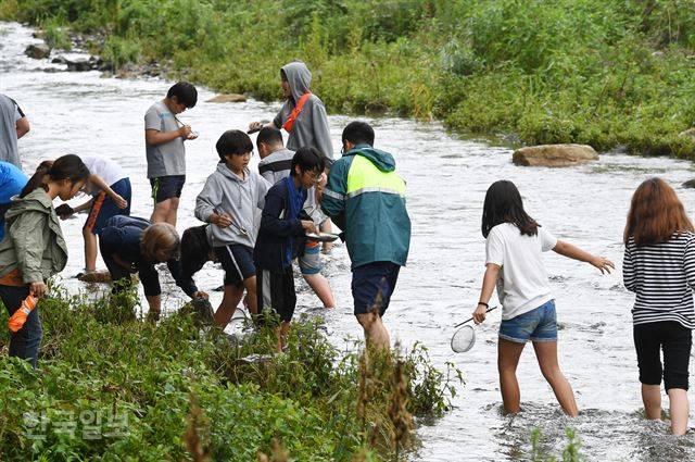 물속 곤충 관찰에 나선 아이들은 강도래, 무늬하루살이 등의 유충이 다칠까 조심조심 붓질을 하며 고사리 손을 움직였다. 울주=홍인기 기자.