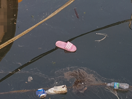 제주시 세화항내에서 발견된 실종여성의 것으로 추정되는 분홍색 슬리퍼. [사진 제주해양경찰서]