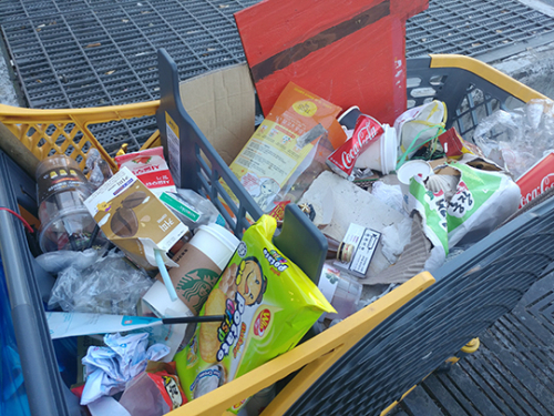 버려진 카트에는 각종 생활 쓰레기와 음식물 쓰레기가 담겨 있어 눈살을 찌푸리게 하고 있다.