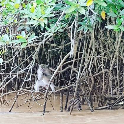 ...꽤 비슷하다....?!!