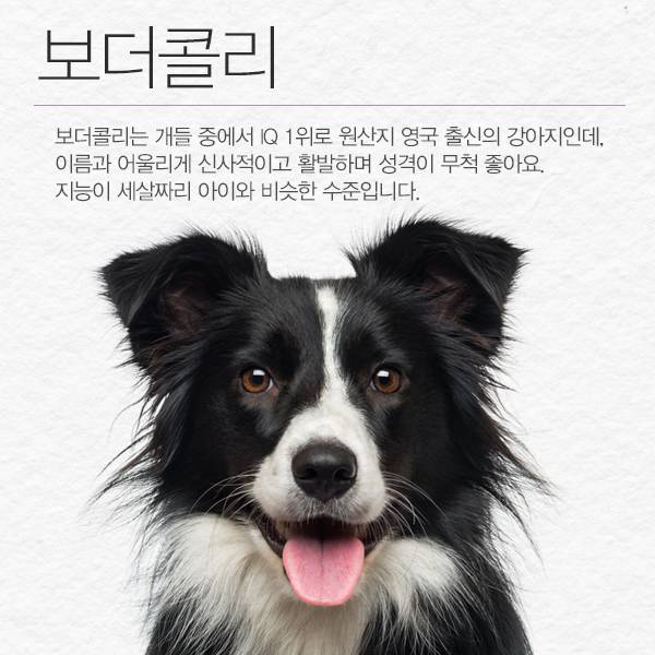 ⓒ데일리안 = 이보라 디자이너