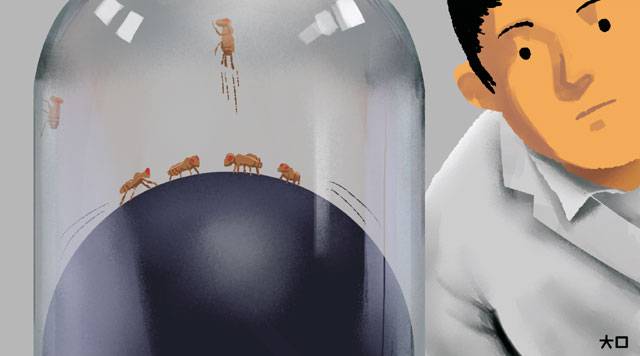 일러스트레이션 김충민 기자 kcm0514@donga.com