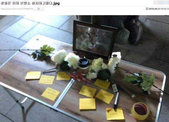 극우 성향 커뮤니티 '일간베스트'의 한 회원이 20일 서울 광화문 광장에 '퓨마 분향소'를 설치 한 뒤 이를 인증한 글을 남겼다. (사진=일간베스트 캡처)