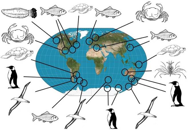 해파리를 먹는 다양한 포식자가 보고된 장소. 헤이스 외 (2018) ‘생태학과 진화 경향’ 제공.