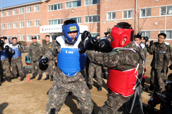 육군 부사관학교 후보생들이 22일 전북 익산 육군부사관학교에서 격투기 훈련 중 권투 글러브와 보호장구를 착용하고 치열한 격투 대련을 하고 있다. 2014.1.22 육군 제공