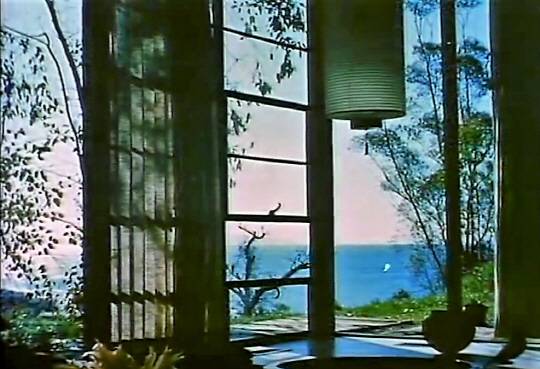 익명적인 공업화 재료가 생활과 사물을 드러낸다. ‘House After 5 Years of Living’ 캡처