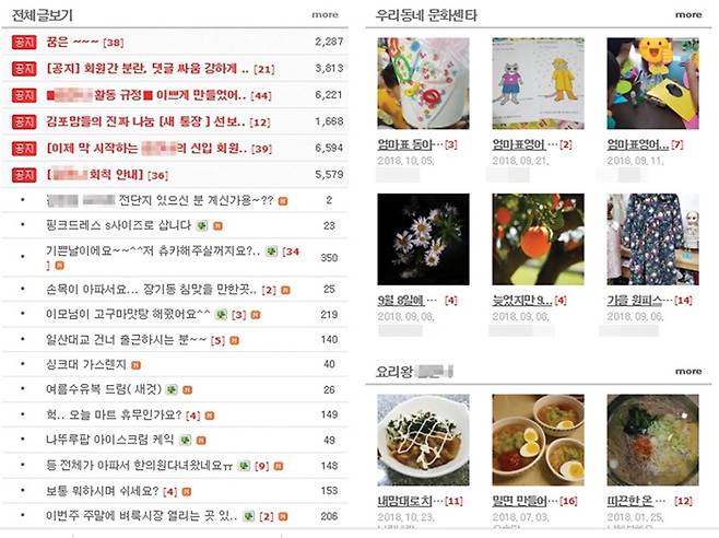 보육교사를 자살로 몰고간 맘카페는 현재 정상적으로 운영되고 있다. /사진=해당 맘카페 캡쳐