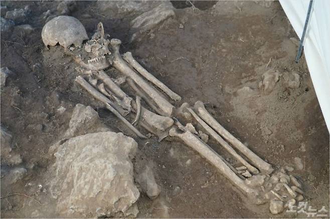 성인 여성 유해. 대퇴골(넓적다리) 위에 두개골이 놓여 있어 2차 암매장됐다는 사실을 알 수 있다. (사진=고상현 기자)