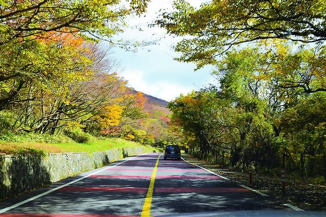 1100도로를 달리면 제주의 다양한 가을풍경을 만날 수 있다.