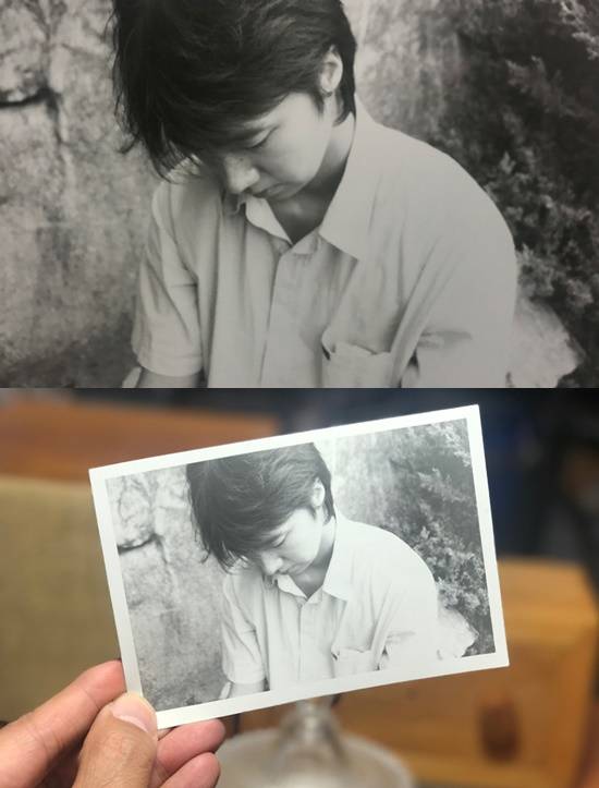 /사진='군산 : 거위를 노래하다'