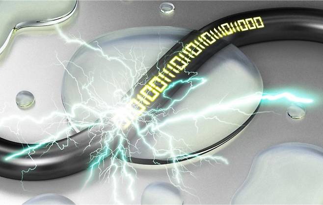 광주과기원 제공