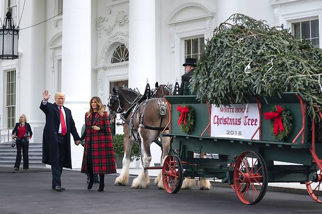 도널드 트럼프 대통령과 부인 멜라니아가 지난 19일(현지시간) 노스캐롤라이나주의 한 농장에서 벌목한 6ｍ 높이의 크리스마스 트리용 전나무가 백악관에 도착하는 모습을 지켜보고 있다. [EPA=연합뉴스]