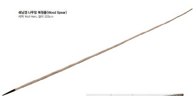 독일 쉐닝겐에서 출토된 것을 복원한 나무창.