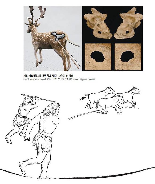 구석기인들이 독일 쉐닝겐에서 나무창으로 야생마를 사냥하는 모습을 재현한 그림. 전곡선사박물관 제공