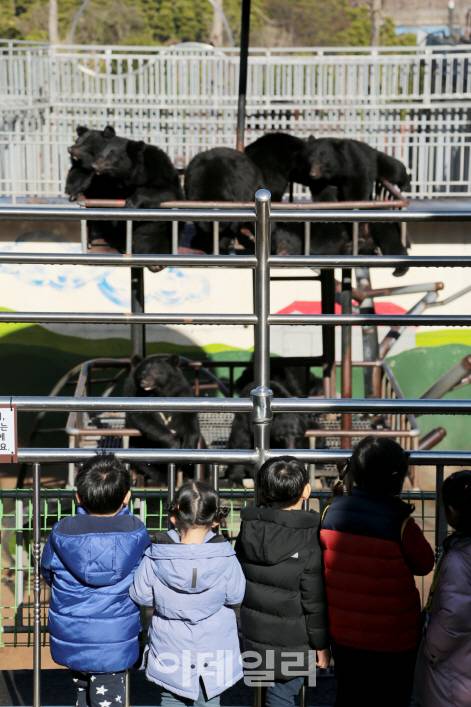 베어트리파크 상징인 반다곰 구경에 여념없는 어린이 관람객