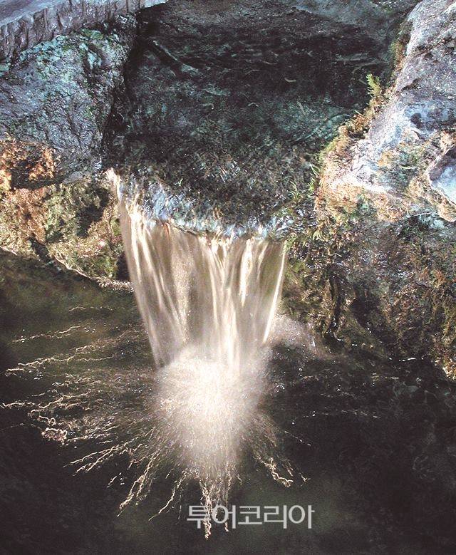 ▲ 루르드 샘물(Lourdes)©Sanctuaires ND Lourdes