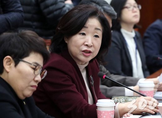  정의당 심상정 의원이 8일 오전 서울 여의도 국회에서 열린 정치개혁 특별위원회 제1소위 회의에서 발언하고 있다.