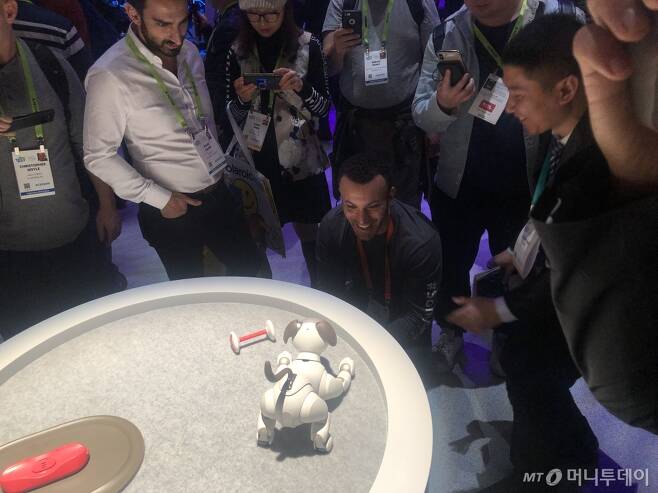 'CES 2019'에서 소니 로봇 반려견 '아이보'가 관람객들에게 재롱을 부리고 있는 모습/사진=이정혁 기자