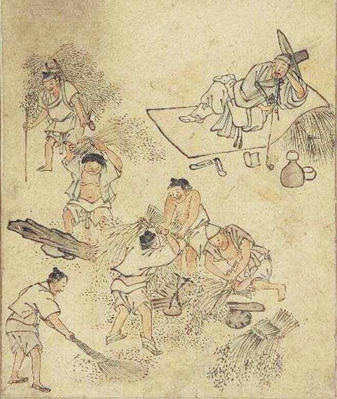 보물 제527호인 김홍도의 <벼타작> . 일하는 노비들과 놀고먹는 양반의 모습을 절묘하게 대비한 18세기 세태 풍자도이다.