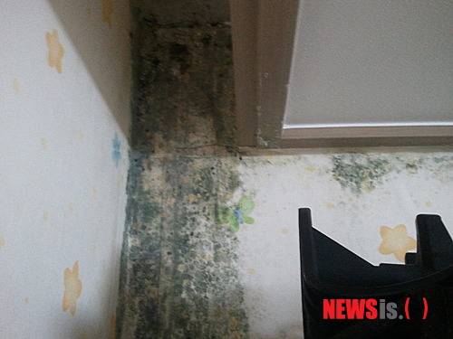 한 아파트 내부에 곰팡이가 발생한 모습. /사진=뉴시스 DB