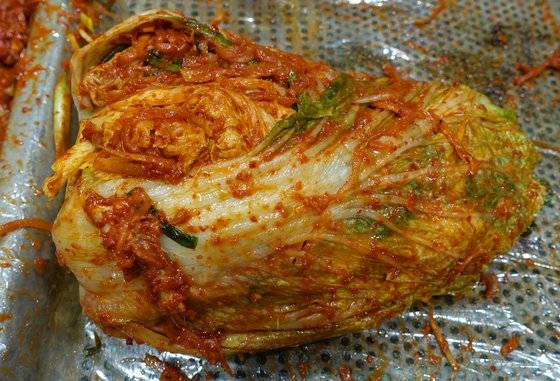 김칫소를 넣고 양념을 고루 발라 겉잎을 여민 김치 한 포기(배추 절반). 통짜로 들어간 젓갈 생선 토막이 겉에 붙어있다.