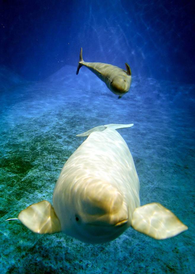 사진=신화통신 연합뉴스