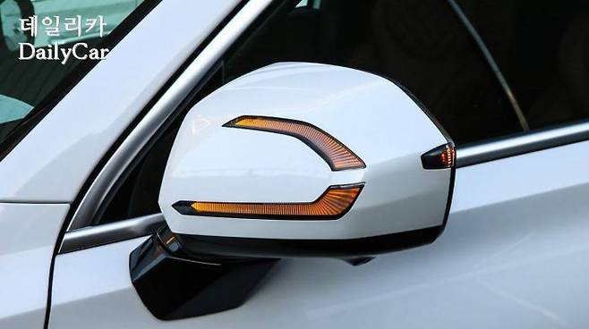 약간 복잡한 듯한 인상의 팰리세이드의 사이드 리피터