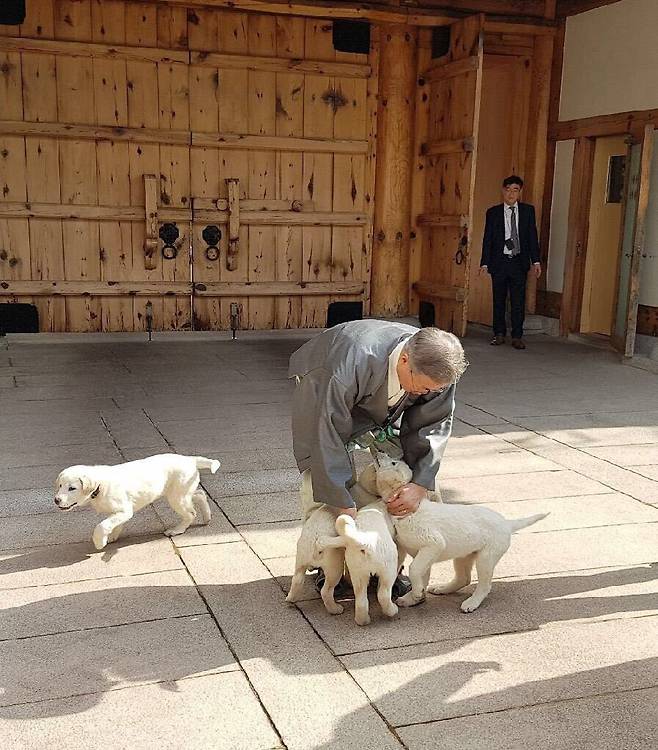 문재인 대통령이 지난 2월6일 청와대 관저에서 강아지들과 시간을 보내고 있다. 청와대제공