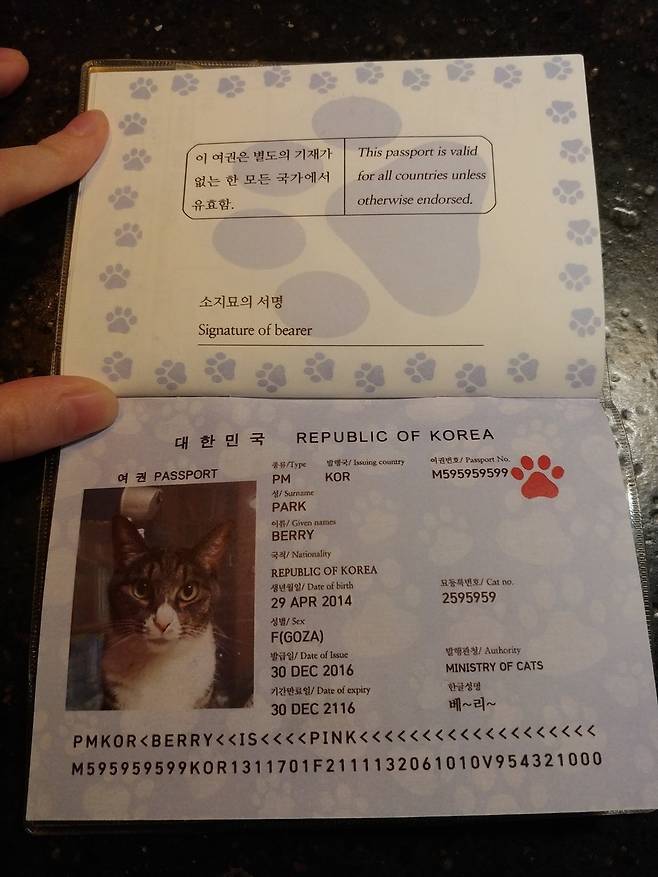 고양이 ‘베리’의 여권. 사진 박한송이씨 제공